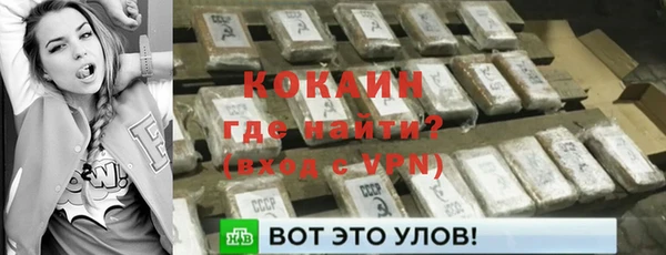 мдпв Горняк