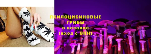 сатива Горно-Алтайск