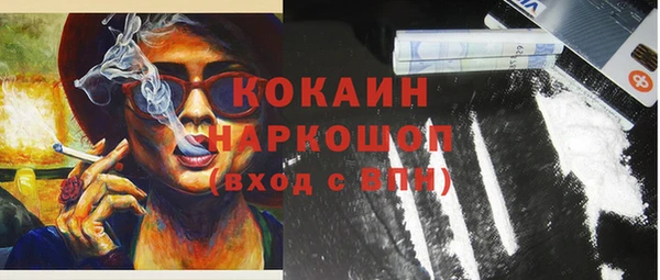 мдпв Горняк