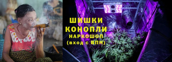 сатива Горно-Алтайск