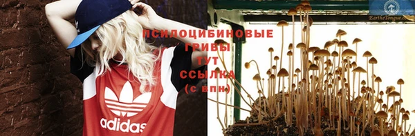 мдма Горнозаводск