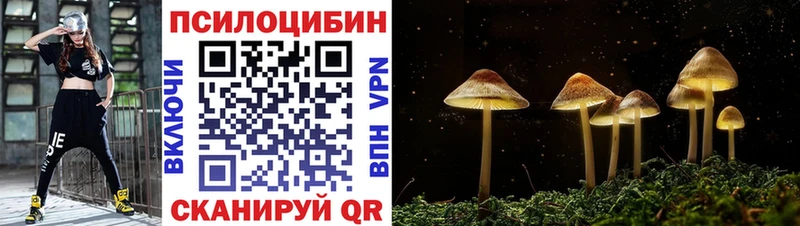 Купить закладки  Волгоград  Галлюциногенные грибы Cubensis 